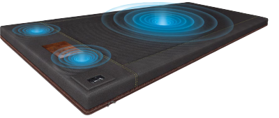 BioAcoustic Mat - Professional - 120V - With Professional Discount